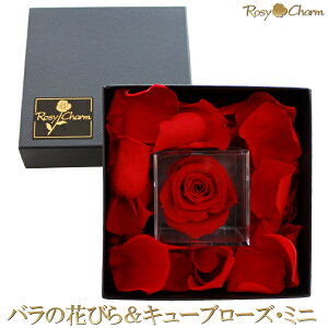 ỏԂт灕L[u[YE~j ybZ[Wt[z a v[g v|[Y  LO  җ j ͂Ȃ  Mtgp BOX 1 bZ[W o 蕨 