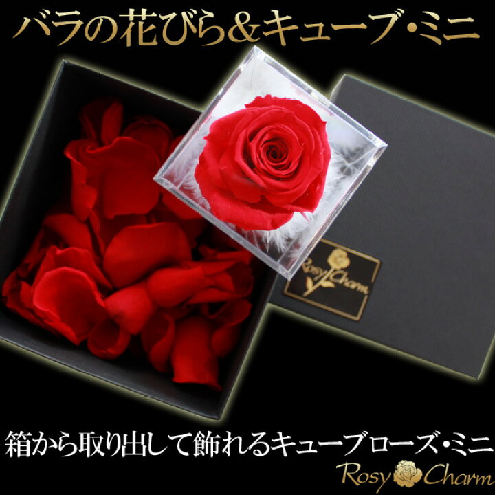 楽天市場】バラの花びら＆キューブローズ・ミニ 【メッセージフラワー 
