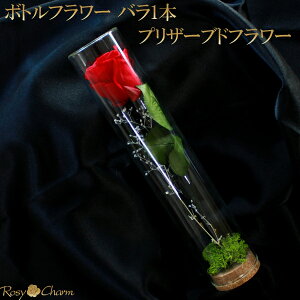 {gt[ o1{ vU[uht[ a v[g  LO v|[Y  ސE j KN 1{ Mtg ͂Ȃ  { 蕨 t[ KX {g  C