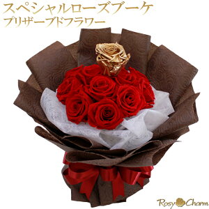 vU[uht[ ỏԑ 11 12 bXyV[YEu[Pbv|[Y a v[g  LO 蕨  KN ԑ  ސE җ j  ͂Ȃ  o 