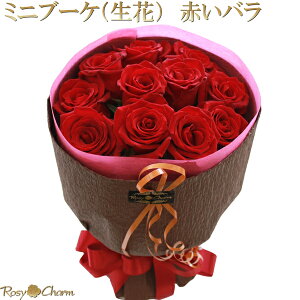 ỏԑ 11{E12{ y~ju[Pz ԃo ԑ a v[g  LO v|[Y 蕨  KN ԑ  ސE  j o  ̂܂܏ X^fBO t