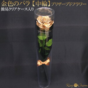 金色の薔薇 【中輪】 1本 プリザーブドフラワー クリアケース入り ゴールド ローズ 誕生日 プレゼント 結婚 記念日 プロポーズ 卒業 退職 お祝い 贈り物 1輪 枯れない バラ 花束 薔薇 高級 金