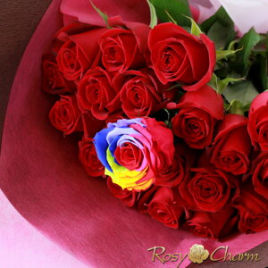 ỏԑ yC{[[Y u[Pz  o 20{50{ KN ԑ a v[g v|[Y  LO  ސE  j 蕨 F ͂Ȃ C{[̃o 1{ v