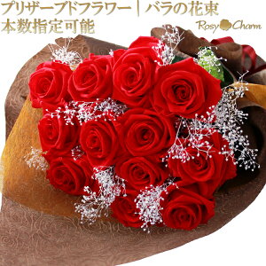 vU[uht[ ỏԑ 10{`25{ {w o v|[Y a v[g  LO ͂Ȃ KN ԑ җ j  lC t[ Mtg  st̃o u[P