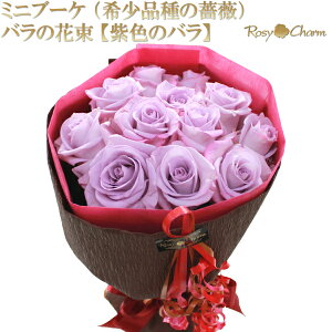 ~ju[P i󏭕iKNj ỏԑ yF̃oz a v[g  LO v|[Y 蕨  KN ԑ  ސE j o  12{ 11{ {I ̂܂܏