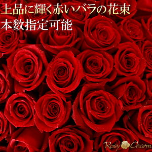 t ỏԑ v|[Y a v[g  LO o 12{108{ {w 蕨 i  KN ԑ җ  ސE j t[Mtg  bsO I