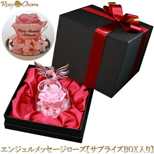 GWF bZ[W[Y KX Vg bTvCY Mtg {bNXb av[g  LO LO  j KN vU[uht[ o 蕨 bZ[W