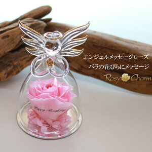 GWF bZ[W[Y KX Vg av[g LO LO KN vU[uht[ o 蕨 bZ[W ͂Ȃ   bZ[Wt[ Mtg 