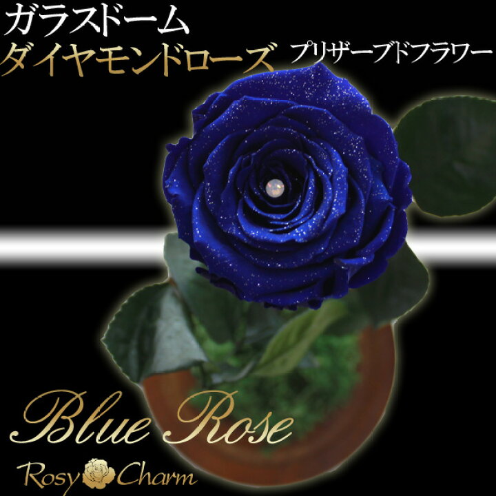 楽天市場】ガラスドーム ダイヤモンドローズ 1本 プリザーブドフラワー 