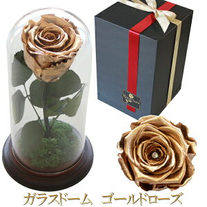 KXh[ ^bN[Y 1{ vU[uht[ F F F o a v[g  LO v|[Y j 1 KN Mtg {bNX ͂Ȃ  { 蕨 