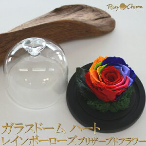 ガラスドーム ハート レインボーローズ プリザーブドフラワー 誕生日 プレゼント 結婚 記念日 プロポーズ 珍しい 虹色 薔薇 1輪 箱入り 枯れない 花 一輪 一本 レインボー ガラス入り お祝い