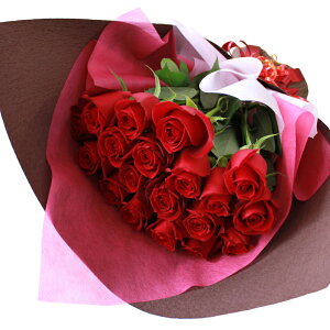 ỏԑ a v[g  LO v|[Y o 20{50{ {w 蕨  KN ԑ j t[Mtg o̐F bsO I\ i lC   