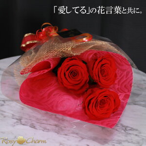 ỏԑ 3{  v~A[Y ͂Ȃ vU[uht[ o v|[Y a v[g  LO җ j  ސE  KN 3 ԑ t[Mtg NX