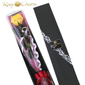 bZ[W[Y vU[uht[ Fo 1{ a v[g v|[Y  LO j 蕨 KN 1 ԑ bZ[W o { ͂Ȃ  Mtg {bNX