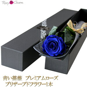  KN v~A[Y 1{ vU[uht[ u[[Y a v[g  LO v|[Y  ސE j 1 o ͂Ȃ ԑ  o Mtg   