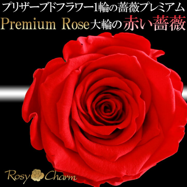 楽天市場 大輪 赤い薔薇 プレミアムローズ 1本 プリザーブドフラワー 誕生日 プレゼント 結婚 記念日 プロポーズ お祝い 卒業 1輪 枯れない バラ 花束 薔薇 一本 高級 箱入り 人気 フラワー ギフト ロージーチャーム 楽天市場店 楽天市場 大輪 赤い薔薇 プレミアムローズ 1本 プリザーブドフラワー 誕生日 プレゼント 結婚 記念日 プロポーズ お祝い 卒業 1輪 枯れない バラ 花束 薔薇 一本 高級 箱入り 人気 フラワー ギフト ロージーチャーム 楽天市場店