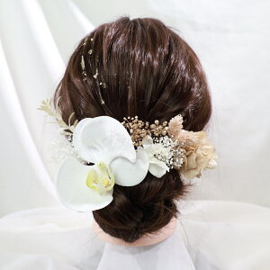  ӒA4   a  l Ӓp[v hCt[  OB Ǝ ܎O sAm\ wAANZT[ Ă΂ U  Ӓ ݑ 