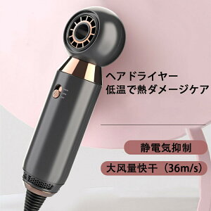 2025NŐV hC[ Jo[GA[ VJ  hC[ 啗  wAhC[ 2}CiXCI PwAPA É uVX[^[ ̓p[ ԒZk NTCߔM