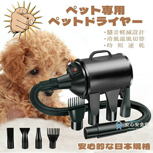 p hC[ 4mYt ybghC[ L  Ɨp  u[  ybgp @ iKx x\ u[ ጸ LphC[ }CiXC