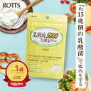 【SALE15％OFF】FK-23 濃縮乳酸菌 乳酸菌5000生酵素Plus (30カプセル) 1袋に15兆個の 濃縮 乳酸菌 FK23 + 5種類の 活性酵素 サプリメント ニチニチ フェカリス菌 善玉菌 消化酵素 腸活 菌活 痩せ菌 免疫 ダイエット ロッツ ROTTS