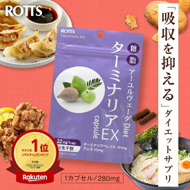 【SALE20%OFF】ターミナリア 91% 高配合 ターミナリアEX（30カプセル）吸収を抑える アーユルヴェーダ ダイエット サプリメント ターミナリアベリリカ アムラ 没食子酸 糖質制限 糖質カット 炭水化物ダイエット 糖質オフ 中性脂肪 送料無料 ROTTS ロッツ