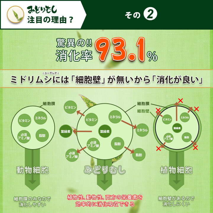 楽天市場】SALE20%OFF みどりむしダイエット キングバイオ (60粒 約2週間分) ユーグレナ サプリメント 腸活 ダイエット 宿便サプリ 免疫力アップ みどりむし おなか掃除 腸内フローラ改善 痩せ菌サポート キクイモ イヌリン パラミロン 送料無料 ROTTS ロッツ : おなか ... 楽天市場】SALE20%OFF みどりむしダイエット キングバイオ (60粒 約2週間分) ユーグレナ サプリメント 腸活 ダイエット 宿便サプリ 免疫力アップ みどりむし おなか掃除 腸内フローラ改善 痩せ菌サポート キクイモ イヌリン パラミロン 送料無料 ROTTS ロッツ : おなか ...