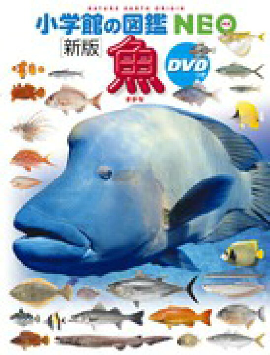 楽天市場】小学館の図鑑NEO 20 〔新版〕 魚 : 朗読社楽天市場店