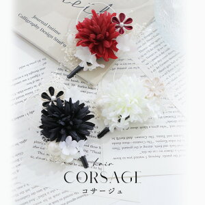  yߏz߂񐅈t[RT[Wy3J[z[YMT] RT[W    Ԃ wAANZyROUGE | [Wz YA-1072-kn