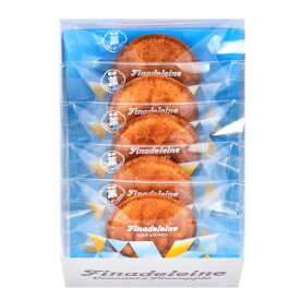 夏季限定の新商品 贈り物におすすめ ギフト ユーハイム 冷やして新たな味わい！ 二刀流焼菓子！フィナドレーヌ ココナッツパイン 5個（箱入り）【帰省 土産】【お中元 お盆】フィナンシェ のような マドレーヌ
