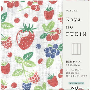 蕨ɂ WAFUKA Kayano FUKIN ᒠ ӂ v`Mtg 肪ƂMtg  v[g Ԃ EaEEj Lb` z ސE ]  A v`Mtg j 