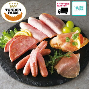 yzy[J[izy߃MtgzIiYMtg O Mtg kCgft@[Mtg TF-5C O    ŃO  n