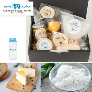 yMtgzyĤ܂z Y `[YH[̃`[Y ܂Ȃ݃`[YH[Mtg 䒆 Ε NX}X ̓ ̓ yYzyފ݁EƁzM