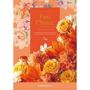 ߑIׂ`CXJ^OMtg n[jbN FINE CHOICEit@C`CXjAC{[ jEoYjEoYjECjEԂ EΕEMtgyNX}Xz