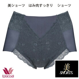 楽天市場 ワコール ショーツ スタイル ガードル ショートガードル ガードル 補正下着 インナー 下着 ランジェリー レディース インナー 下着 ナイトウェアの通販 楽天市場 ワコール ショーツ スタイル ガードル ショートガードル ガードル 補正下着 インナー 下着 ランジェリー レディース インナー 下着 ナイトウェアの通販