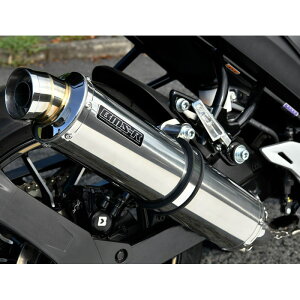 yBEAMSzG350-53-S6J r[X R-EVO XeXTCT[ {F (SUZUKI : WNT[ SF250) tGL][Xg}t[ oCN JMCA