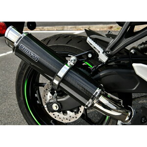 �yBEAMS�zG436-54-P2J �r�[���X (KAWASAKI : ZX-25R) [8BK-ZX250H] R-EVO2 �X���b�v�I�� �J�[�{���T�C�����T�[ ���{�F�� �o�C�N �}�t���[ JMCA