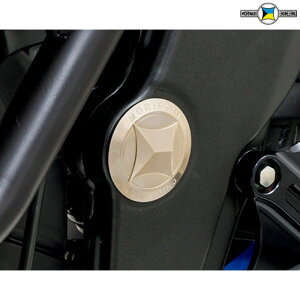 �y�������L�z09085-20802-N0 (HONDA : CB1000 HORNET '25- , CB1000F '26-) �t���[���z�[�� �v���O �L���b�v (�j�b�P��) FRAMEHOLE PLUG NICKEL �o�C�N MORIWAKI