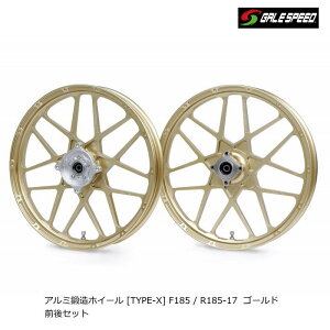 yGALE SPEEDzQCXs[h 29615001-29615101 A~bzC[ TYPE-X S[h OZbg F 185/R 185-17 (HONDA : CT125 n^[Ju '20-'25) oCN