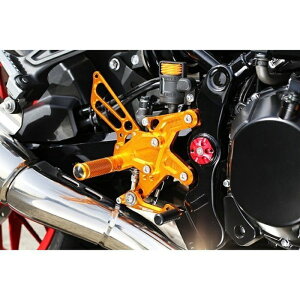 �yBabyFace�z002-K033 �x�r�[�t�F�C�X �X�e�b�v�L�b�g (KAWASAKI : Z900RS '18-) �o�C�N �J���T�L (002-K033BK/002-K033GD/002-K033SV) BABYFACE
