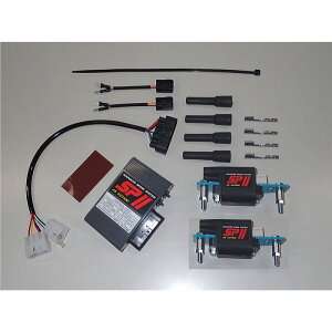 yASEI^jz00306 SPII tp[Lbg K.GPZ900R-2 (KAWASAKI : GPZ900R(A8`A12)(1sbNAbv), GPZ900RtA(A12`A16}[VA)(1sbNAbv)) oCN JTL dqp[c \_