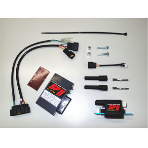 �yAS�E�I�^�j�z00309 SPII �t���p���[�L�b�g K.W650 (KAWASAKI : W650) �o�C�N �J���T�L �d�q�p�[�c �����\�_�΃V�X�e��
