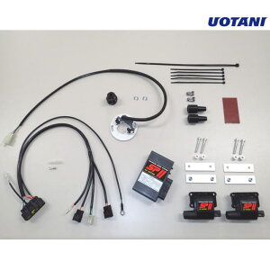 �yAS�E�I�^�j�z00348 SPII �t���p���[�L�b�g K.W1/3 (KAWASAKI : W1 , W1S , W1SA , W3) �o�C�N �J���T�L �d�q�p�[�c �����\�_�΃V�X�e��