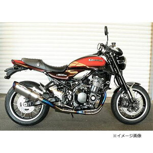 yBEETz0225-KE3-50 Z900RS(18-22) NASSERT Evolution TypeII 3D STD tGL][Xg}t[ NA`^TCT[dl TI/TI oCN r[g iT[g {F