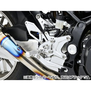 yOVERRACINGz51-71-02B obNXebv BACK-STEP 4|WV Type2 subNt(Z900RS/CAFE '18-'20/'21-'22/'23-) oCN I[@[[VO I[o[[VO
