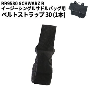 ytAh[hzRR9580-1 xgXgbv30 (RR9580ThobOpyAp[c) oCN ROUGH&ROAD t[h