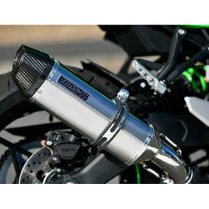 yBEAMSzG435-64-P1J ZX-4RR / ZX-4R SE (23-) 8BL-ZX400P CORSA-EVOII XeX {F XbvI }t[ oCN JMCA r[X