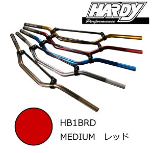 yHARDYzHB1BRD n[fB MXnho[ TypeII (MEDIUM / bh) oCN ~fBA RED It[h Gf[ ROUGH&ROAD t[h