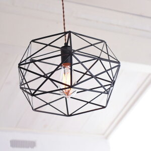 ペンダントライト エジソン球 1灯 電球付き LED対応 おしゃれ 鳥かご ワイヤー レトロ ヴィンテージ アンティーク インダストリアル ミッドセンチュリー 吊り下げ式 照明 天井照明 間接照明