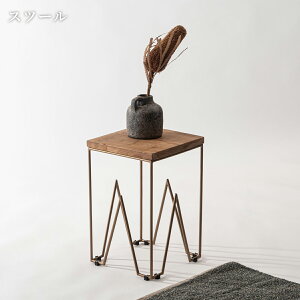 Xc[ ֎q `FA TChe[u ԑ  CX k VR _CjO rO `FA[ | JtF Ƌ CeA i 30cm 45cm k _ g ~bhZ`
