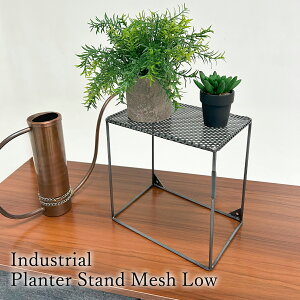 v^[X^h t[x[X X`[ u X^h KX NG Creer |XgWFl 982460002 [ |bgX^h x[X ubN  Aؔ v^[ k K[fjO 